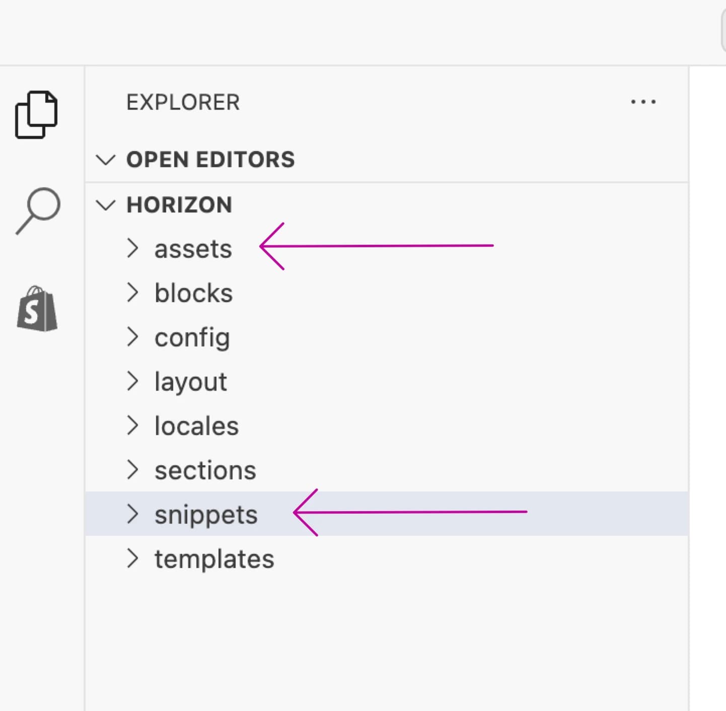 Copying files to assets and snippets directories